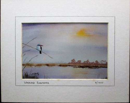 Lovely Lionel Ashley Numbered Art Print Framed In Board -Print Size 16,5cm/11cm -Woodland Kingfisher