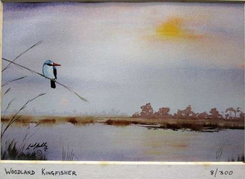 Lovely Lionel Ashley Numbered Art Print Framed In Board -Print Size 16,5cm/11cm -Woodland Kingfisher