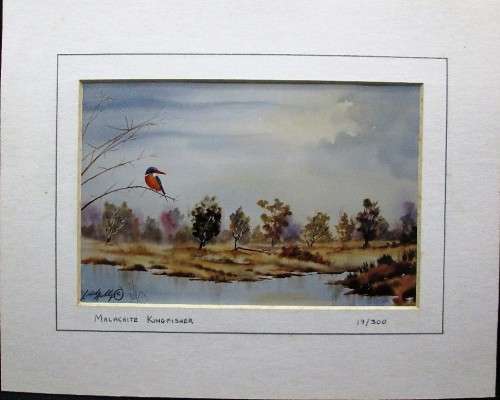 Lovely Lionel Ashley Numbered Art Print Framed In Board Print Size 16,5cm/11cm -Malachite Kingfisher