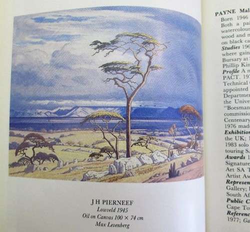 Dictionary Of South African Painters And Sculptors - Grania Ogilvie, Carol Graff - Everard Read,1988