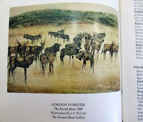 Dictionary Of South African Painters And Sculptors - Grania Ogilvie, Carol Graff - Everard Read,1988