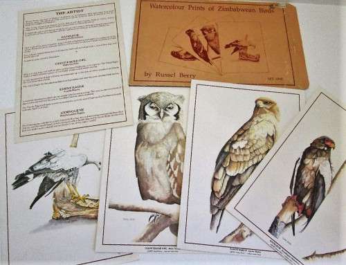Watercolour Prints Of Zimbabwean Birds - Russell Berry, Signed - Print Size 29,5cm/21cm