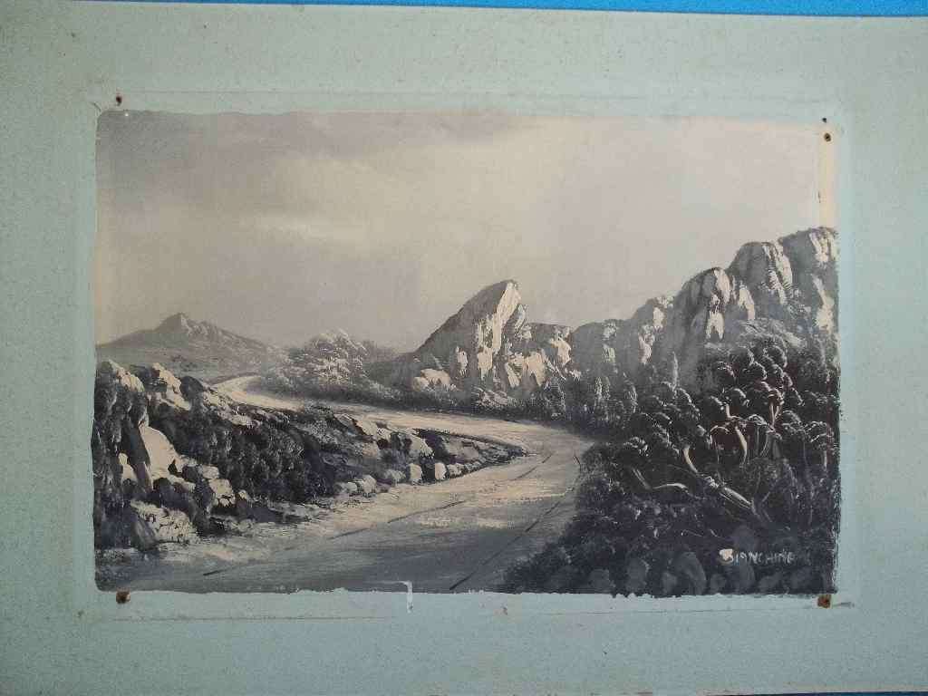 !!!WOW!!! DIRK BIANCHINA ORIGINAL OIL ON BOARD - UNFRAMED - !!!SUPER LOW START!!! 30cm/46cm