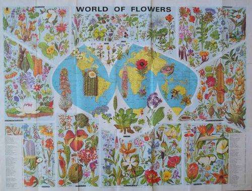 Bartholomew World Of Flowers - Barbara Everard - World Pictorial Map Series - 100cm/76cm