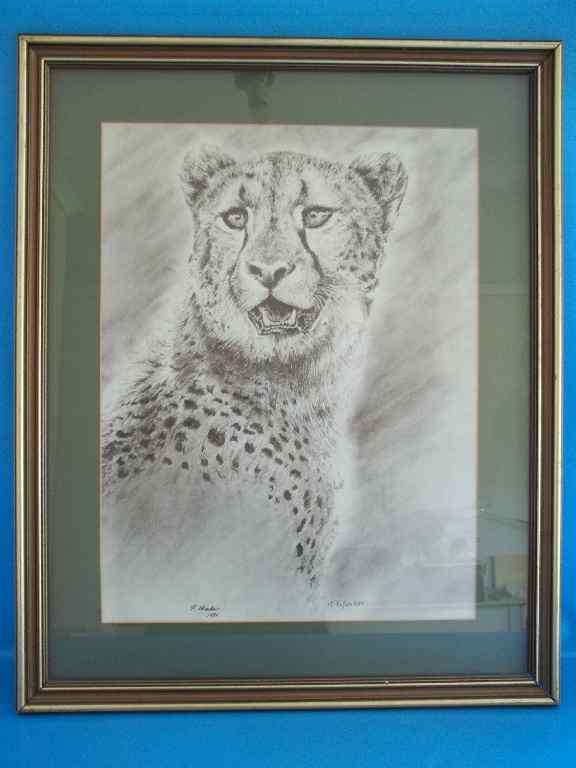 Beautiful Animal Print By K Wacker - Frame 68,5cm/56cm - Picture: 51cm/38,5cm (Behind Glass)