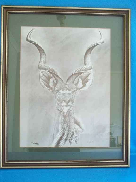 Beautiful Animal Print By K Wacker - Frame 68,5cm/56cm - Picture: 51cm/38,5cm (Behind Glass)