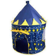 A Beautiful Cubby House For Both Girls And Boys Blue/Pink