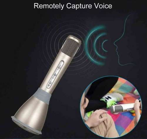 K068 KTV Karaoke Microphone c & Speaker Gold