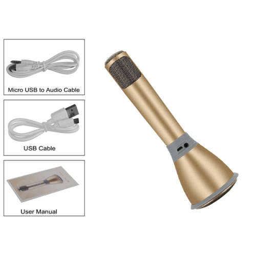 K068 KTV Karaoke Microphone c & Speaker Gold