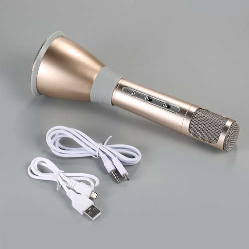 K068 KTV Karaoke Microphone c & Speaker Gold