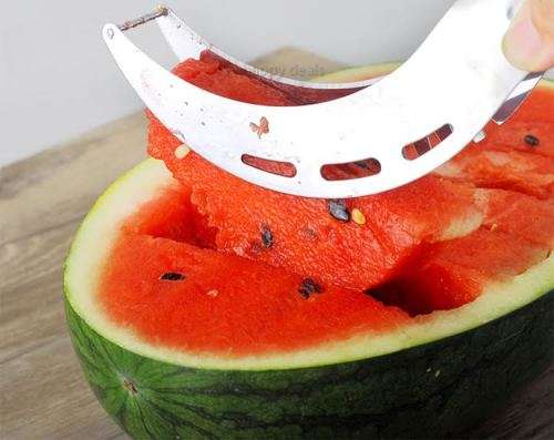 Watermelon Slicer and Server