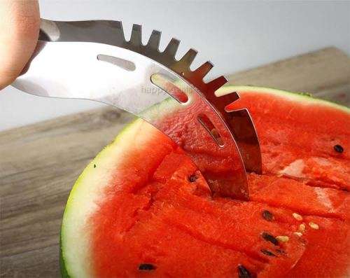 Watermelon Slicer and Server