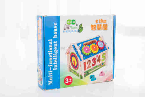 Multi-Functional- intelligent House  Number Blocks