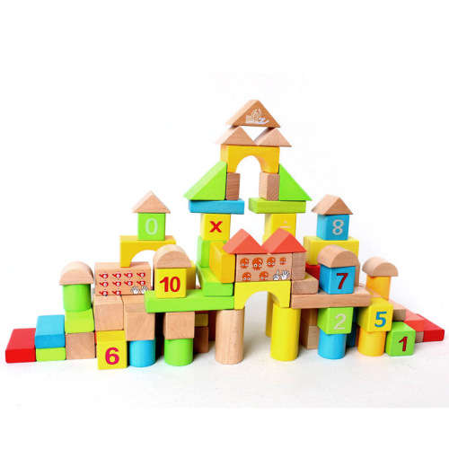 50 Piece Mathematics Wooden Blocks