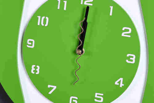 Colourful Owl Wall Clock ( Green, White)