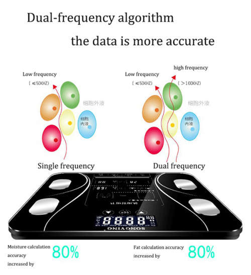 Smart digital body scale