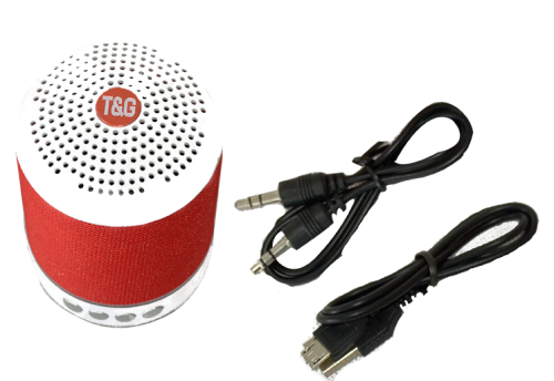 TG115 Portable speaker