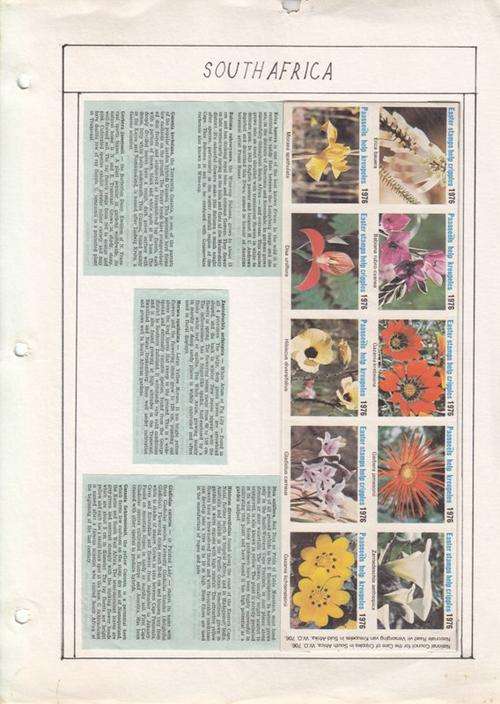 RSA Cinderella stamps "Potporri" - take a look!