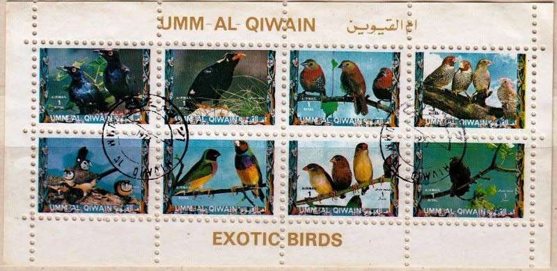 Oman,Sharjah,1972,MNH,Sheet of 8 stamps,Birds on stamps,CTO