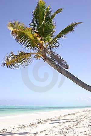 1 Week Mozambique Holiday for 8 People!