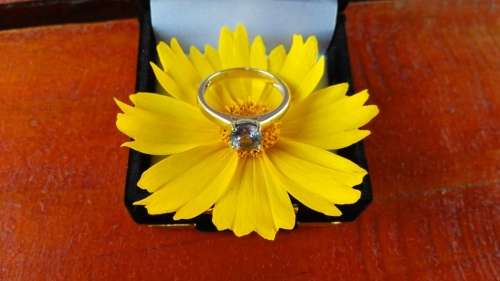 1.33ct 14ct Solid White gold solitaire Tanzanite ring