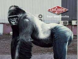 LEE COOPER LADIES JEAN 32