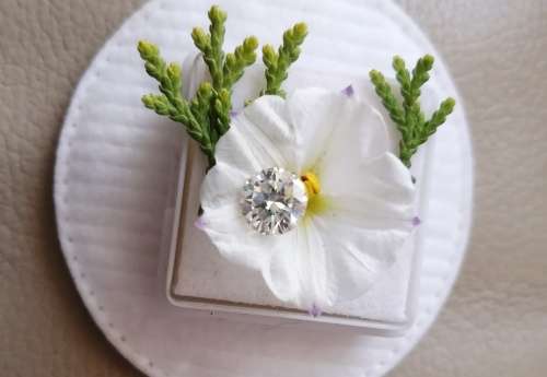 1.17ct Vvs1 Round H-I White Loose Moissanite