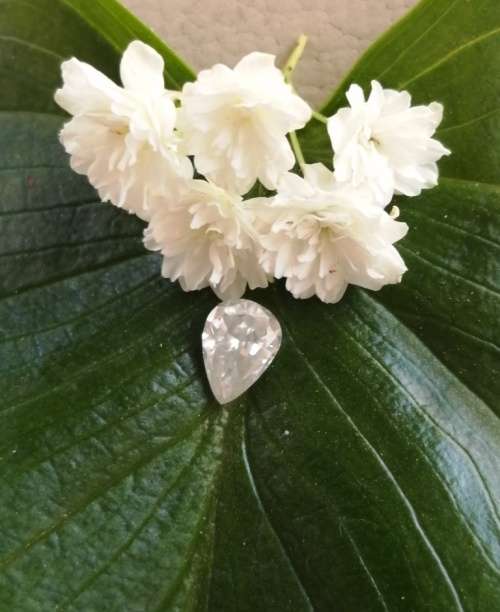 0.65ct Vvs1 Pear Shape H-I White Loose Moissanite