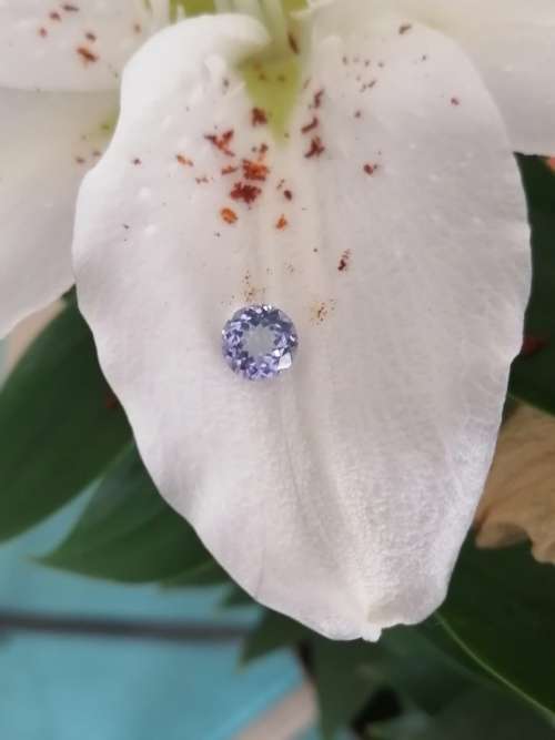 1.80ct ROUND CUT TANZANITE