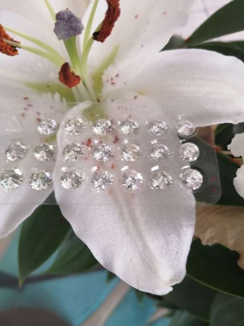 1.00-1.1ct Vvs1 Round G-H White Loose Moissanite (Bid is per stone)