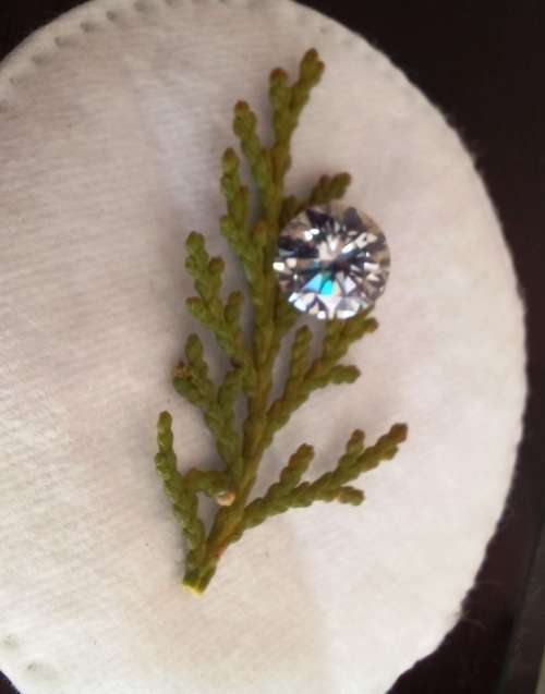 1.91ct Vvs1 Round Top Silver Loose Moissanite