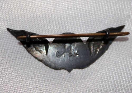 Very Rare! Transkei Special Forces NUMBERED wings with extras