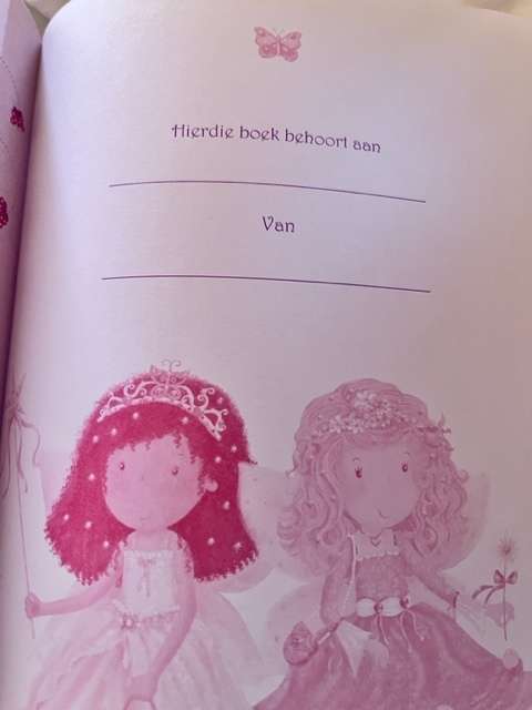 My prinses dagboek - 365 dagstukkies - almost new condition