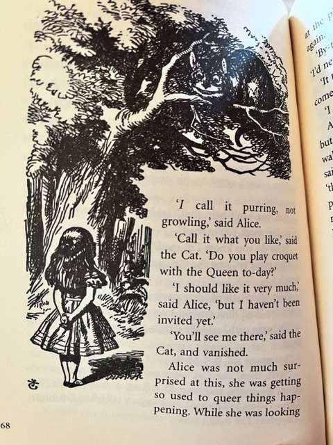 Alice`s Adventures in Wonderland - with illustrations (2008)