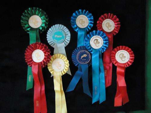 Collection Rosettes- HORSE SHOWS