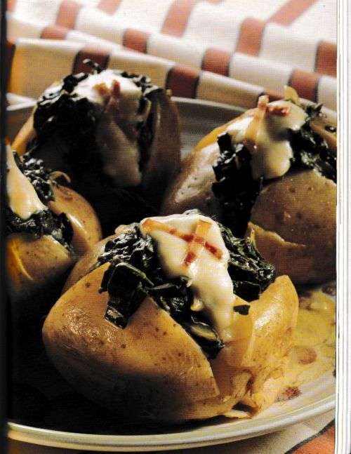 HUISENOOT TREFFERS---CARMEN NIEHAUS