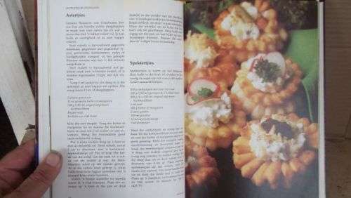 HUISGENOOT;DIE BESTE VAN WENRESEPTE---ANNETTE HUMAN