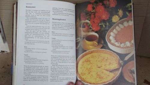 HUISGENOOT;DIE BESTE VAN WENRESEPTE---ANNETTE HUMAN