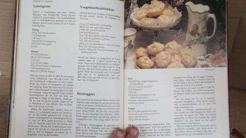 HUISGENOOT;DIE BESTE VAN WENRESEPTE---ANNETTE HUMAN