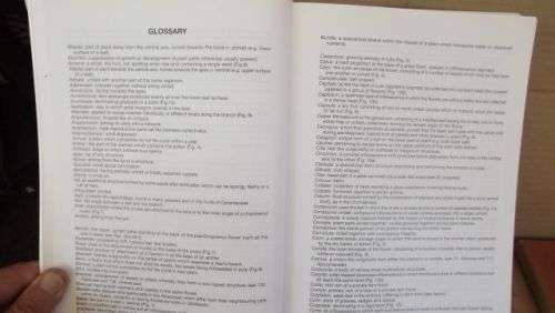 GUIDE TO THE PLANT GENERA OF THE WESTERN CAPE,THE LEVYNE----TERRY H. TINDER-SMITH