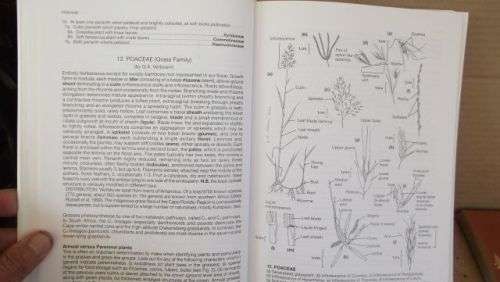 GUIDE TO THE PLANT GENERA OF THE WESTERN CAPE,THE LEVYNE----TERRY H. TINDER-SMITH