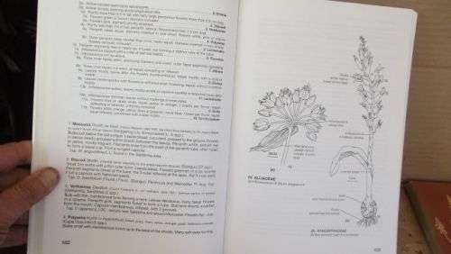 GUIDE TO THE PLANT GENERA OF THE WESTERN CAPE,THE LEVYNE----TERRY H. TINDER-SMITH