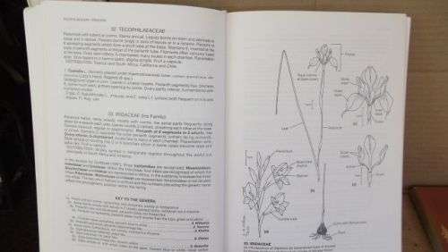 GUIDE TO THE PLANT GENERA OF THE WESTERN CAPE,THE LEVYNE----TERRY H. TINDER-SMITH