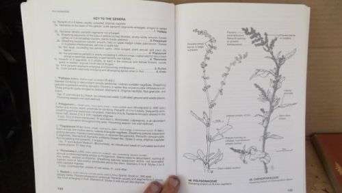 GUIDE TO THE PLANT GENERA OF THE WESTERN CAPE,THE LEVYNE----TERRY H. TINDER-SMITH