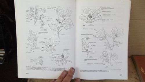 GUIDE TO THE PLANT GENERA OF THE WESTERN CAPE,THE LEVYNE----TERRY H. TINDER-SMITH