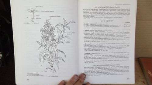 GUIDE TO THE PLANT GENERA OF THE WESTERN CAPE,THE LEVYNE----TERRY H. TINDER-SMITH