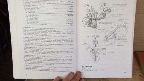 GUIDE TO THE PLANT GENERA OF THE WESTERN CAPE,THE LEVYNE----TERRY H. TINDER-SMITH