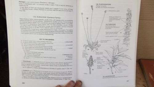 GUIDE TO THE PLANT GENERA OF THE WESTERN CAPE,THE LEVYNE----TERRY H. TINDER-SMITH