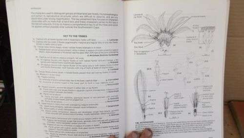 GUIDE TO THE PLANT GENERA OF THE WESTERN CAPE,THE LEVYNE----TERRY H. TINDER-SMITH