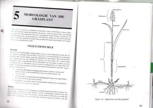 GRASSE VAN SUID-AFRIKA,GIDS TOT----FRITS VAN OUDTSHOORN